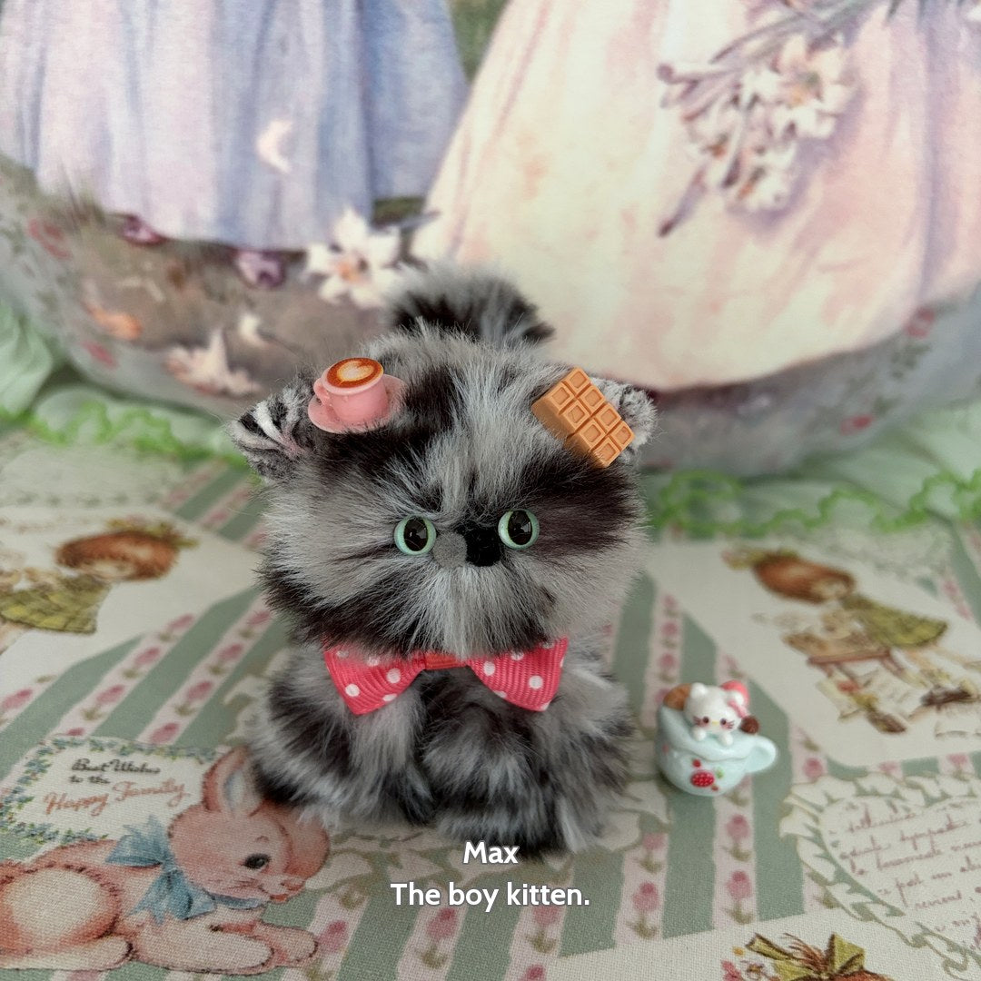 Adorable Kitten Collection