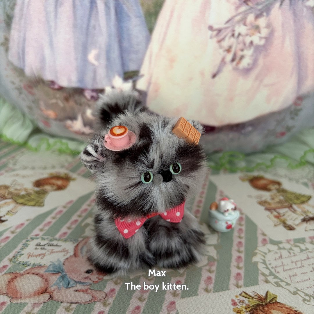 Adorable Kitten Collection