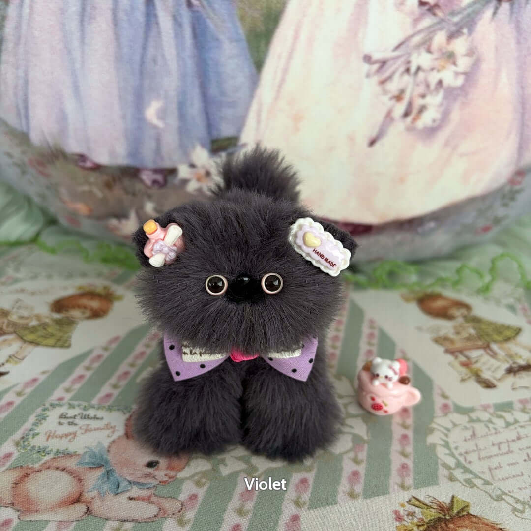 Grey Kitten Collection