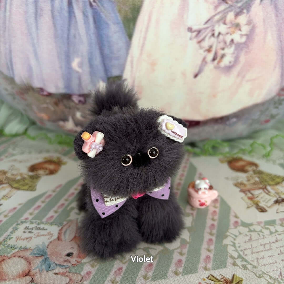 Grey Kitten Collection