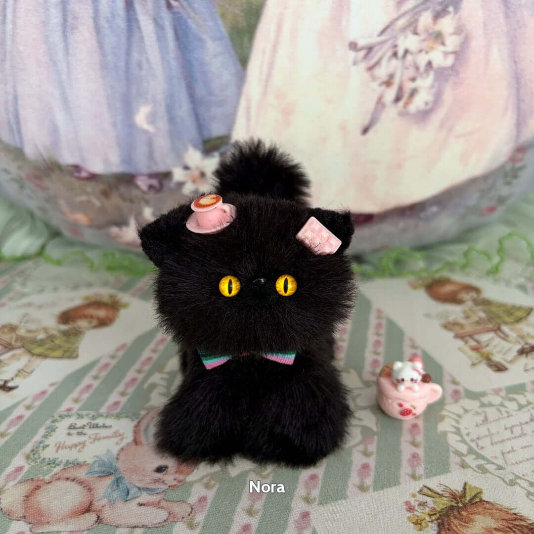 Black Kitten Collection