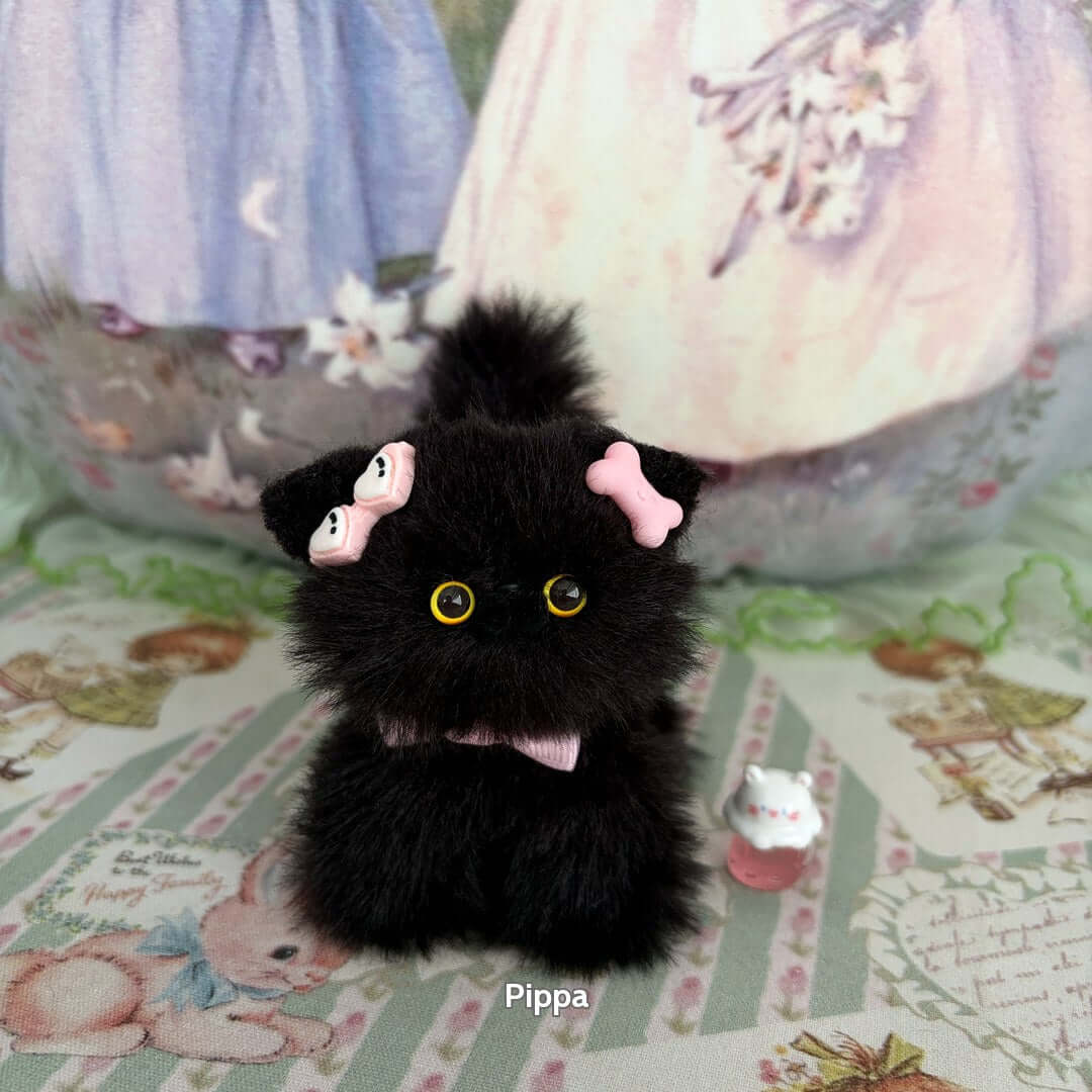 Black Kitten Collection