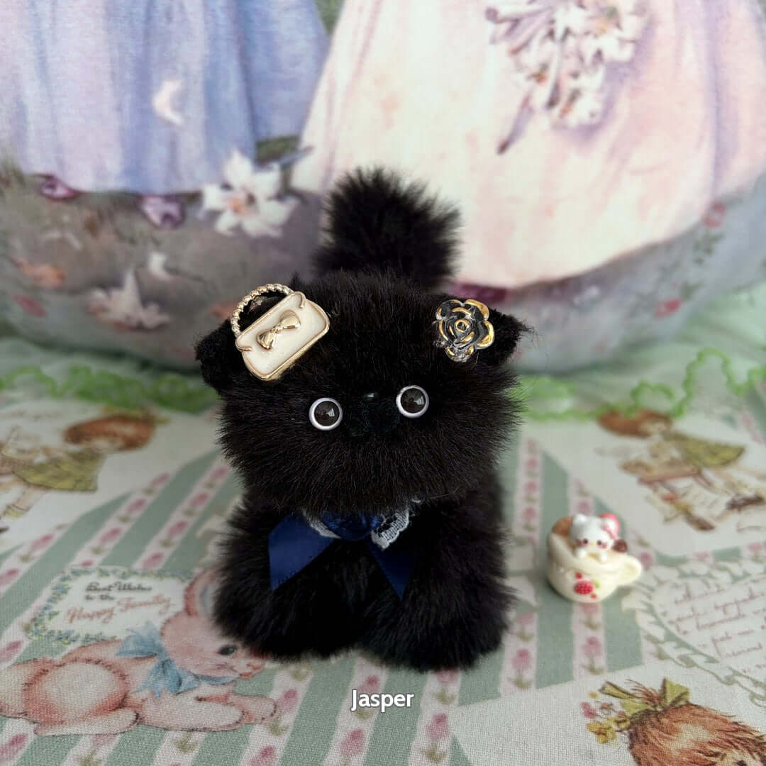 Black Kitten Collection