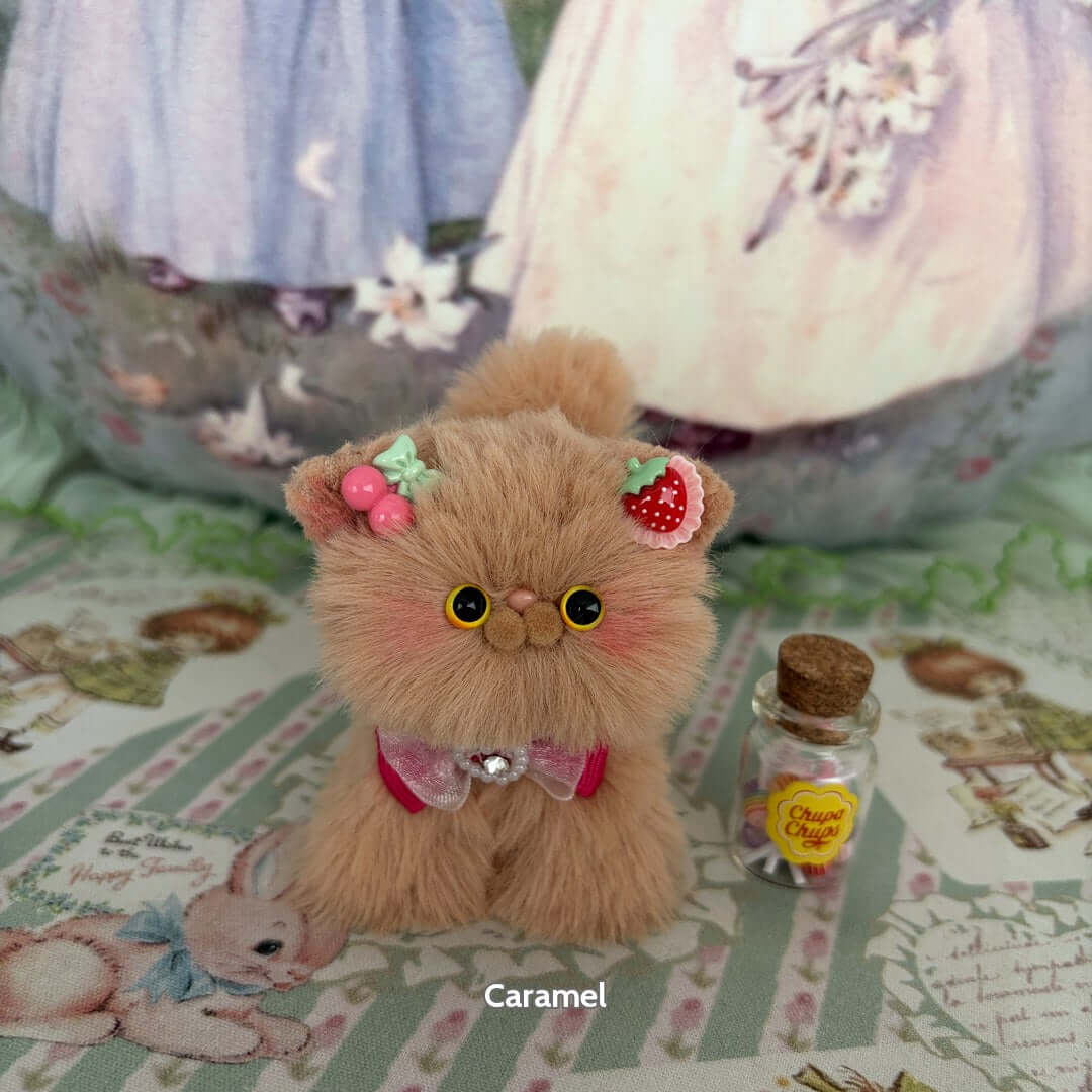 Brown Kitten Collection