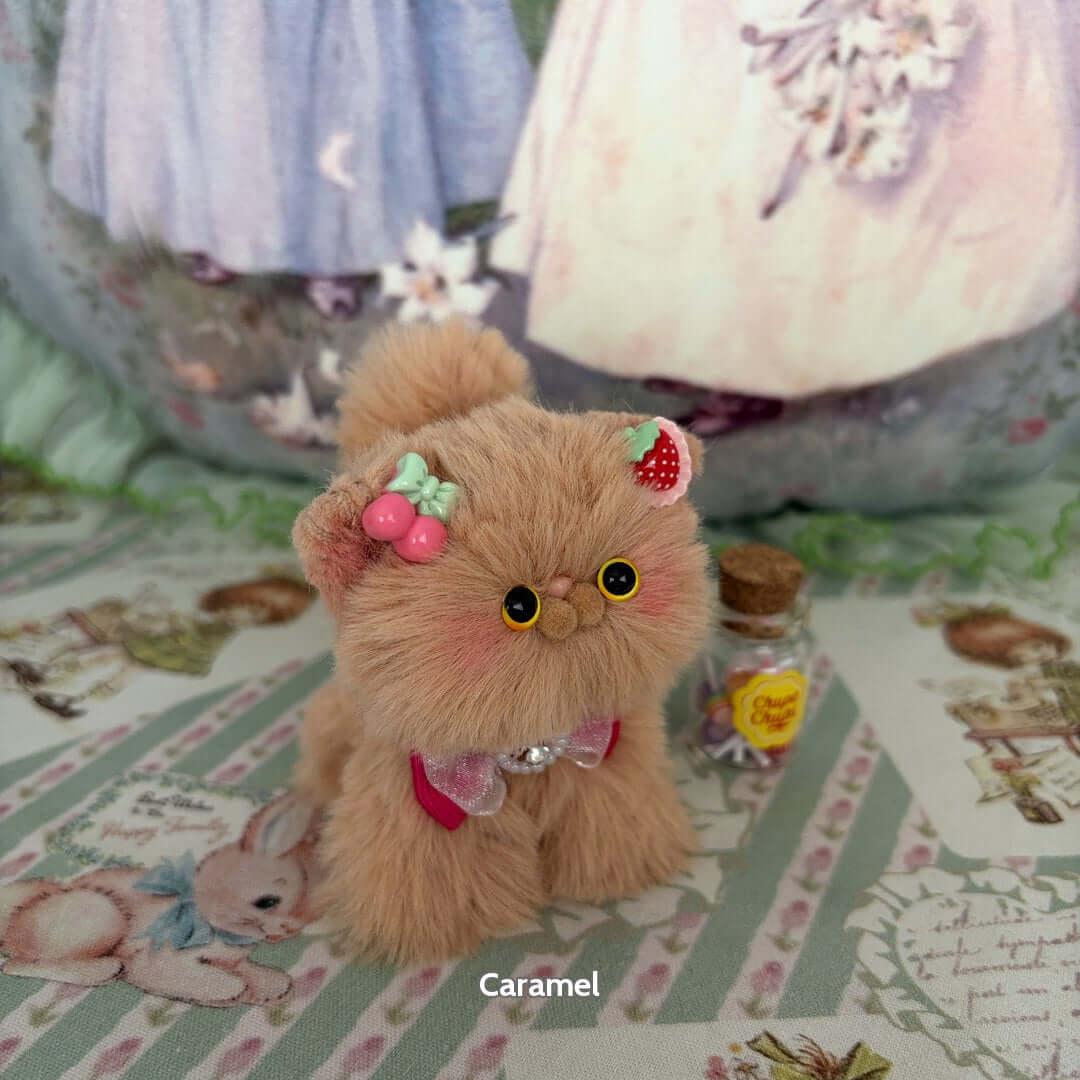 Brown Kitten Collection