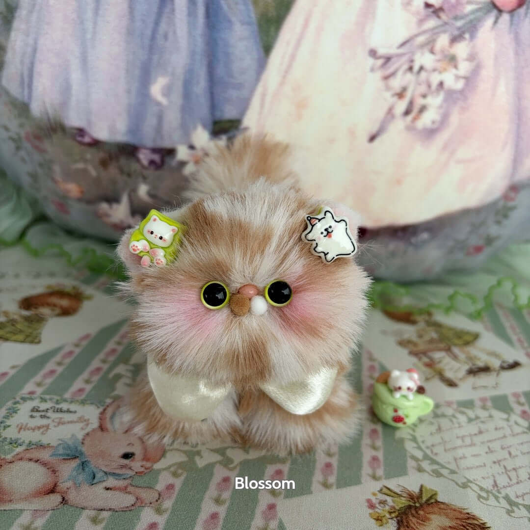 Fluffy Kitten Collection