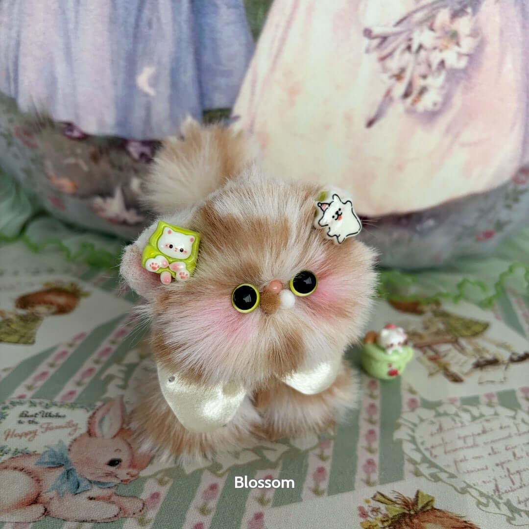 Fluffy Kitten Collection