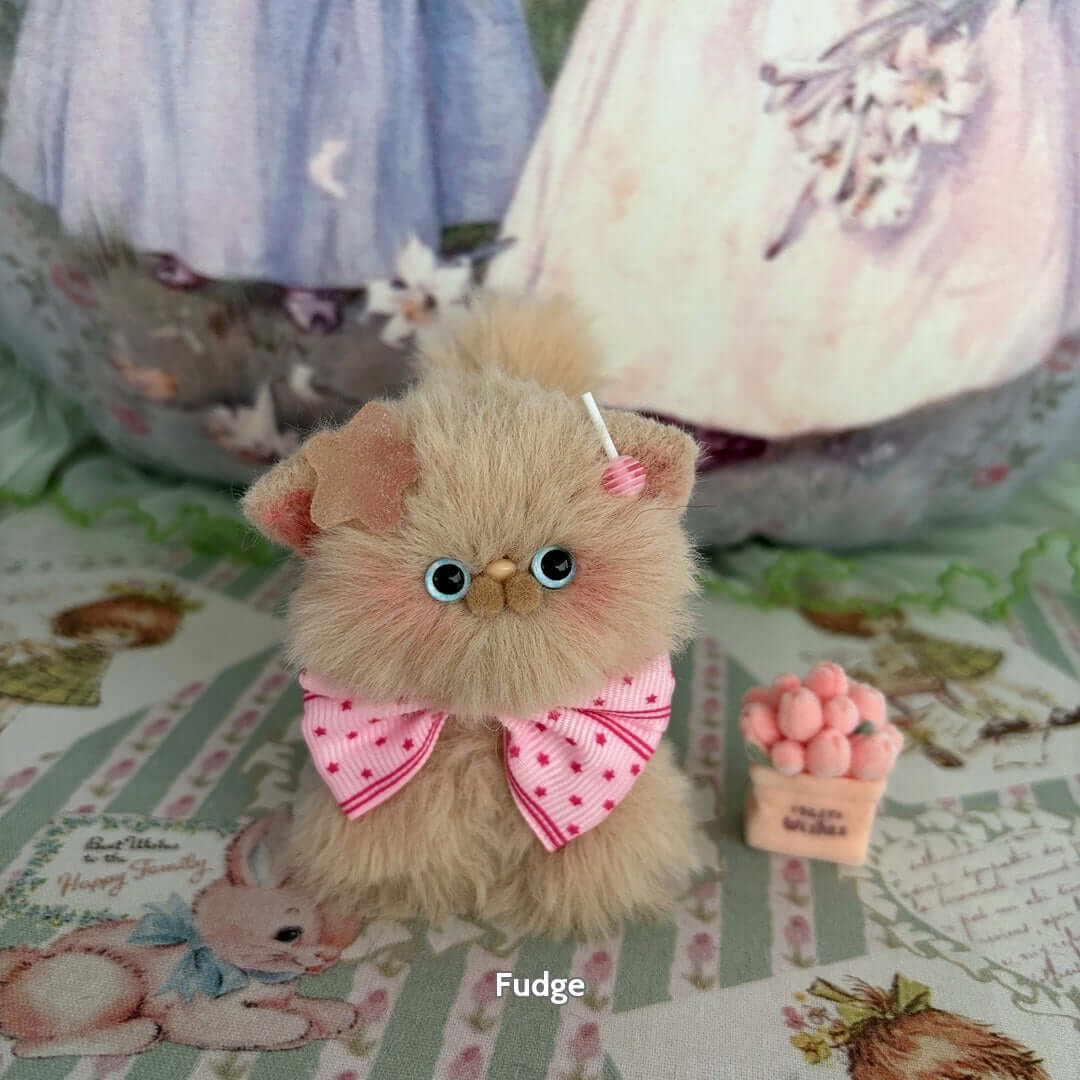 Brown Kitten Collection