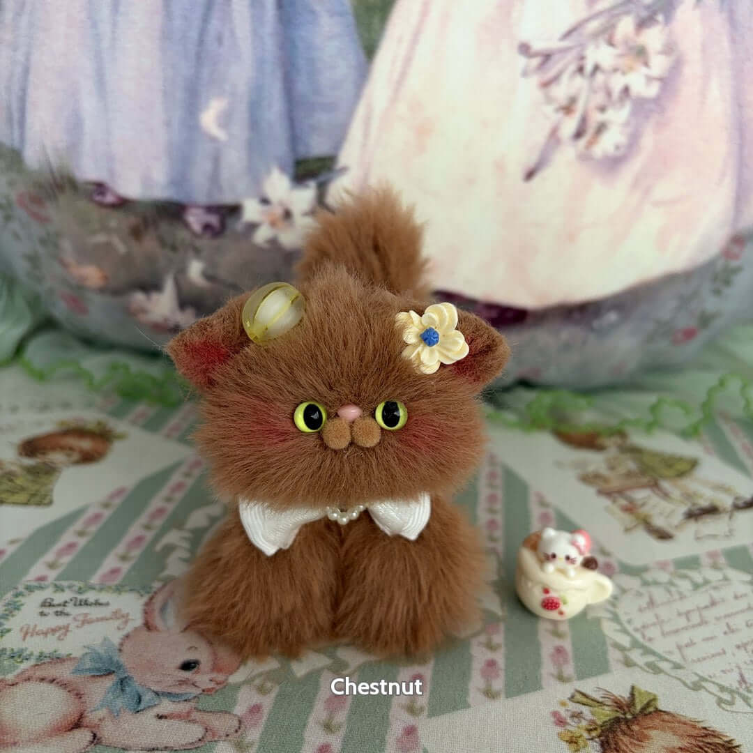 Brown Kitten Collection