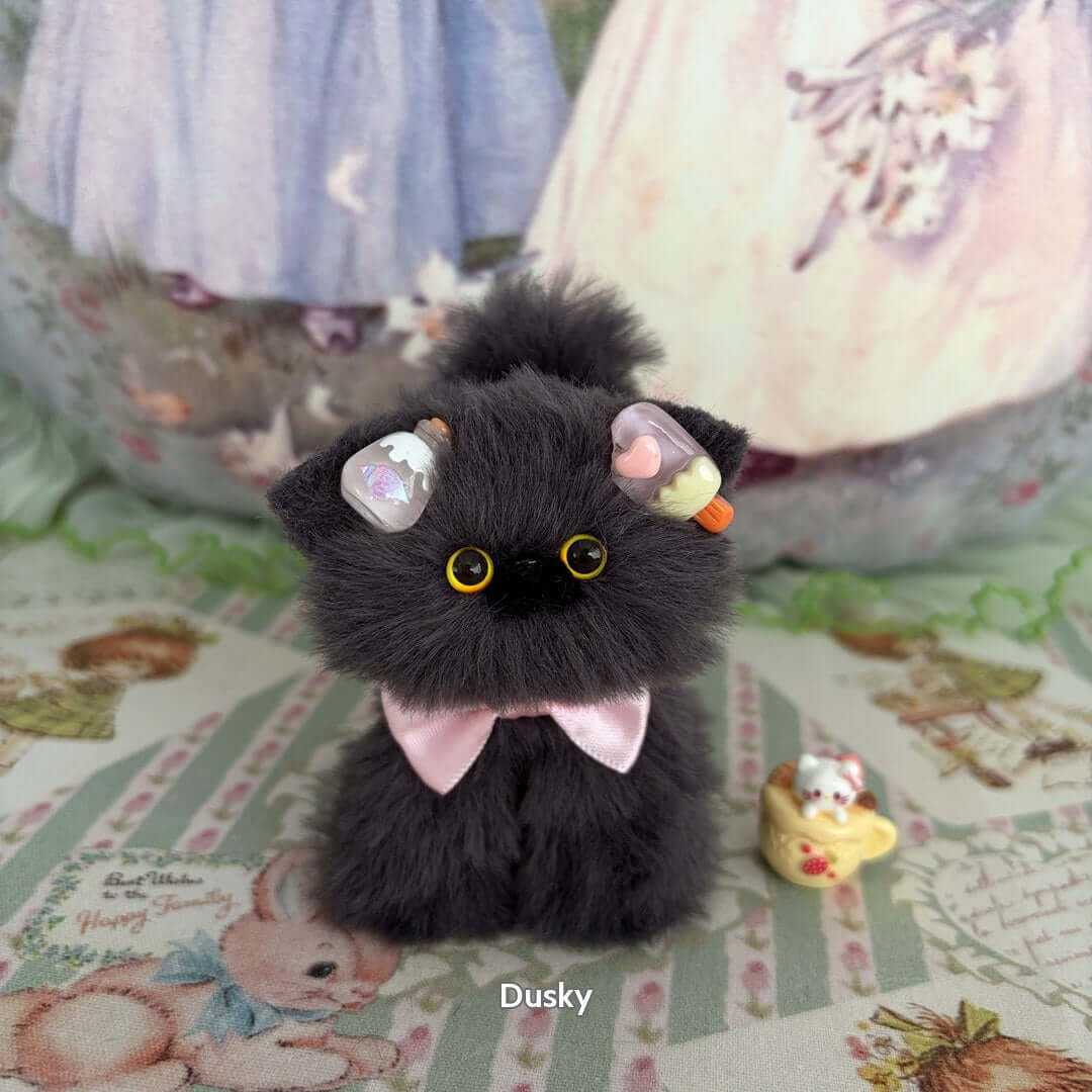 Grey Kitten Collection