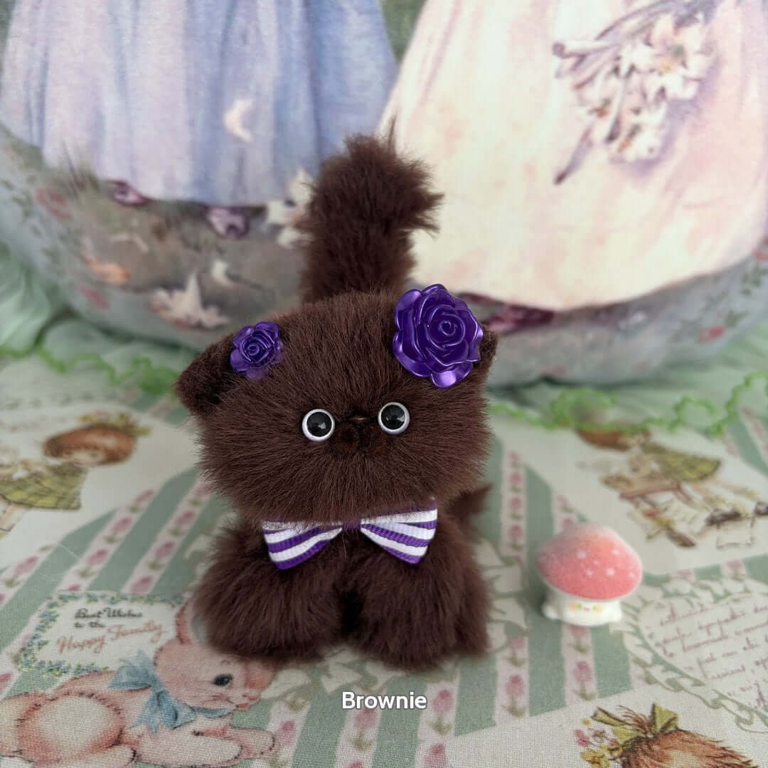 Brown Kitten Collection