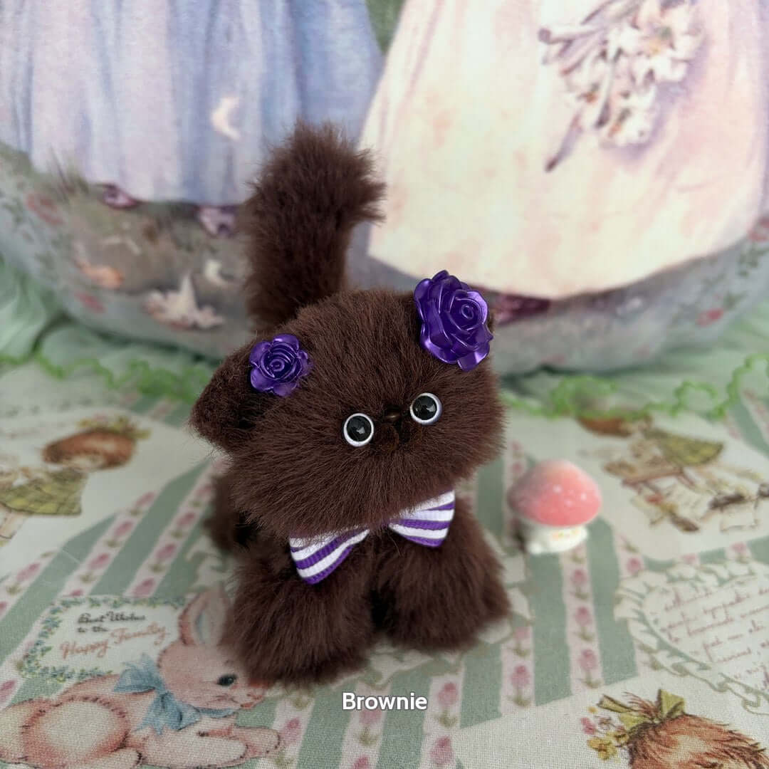 Brown Kitten Collection