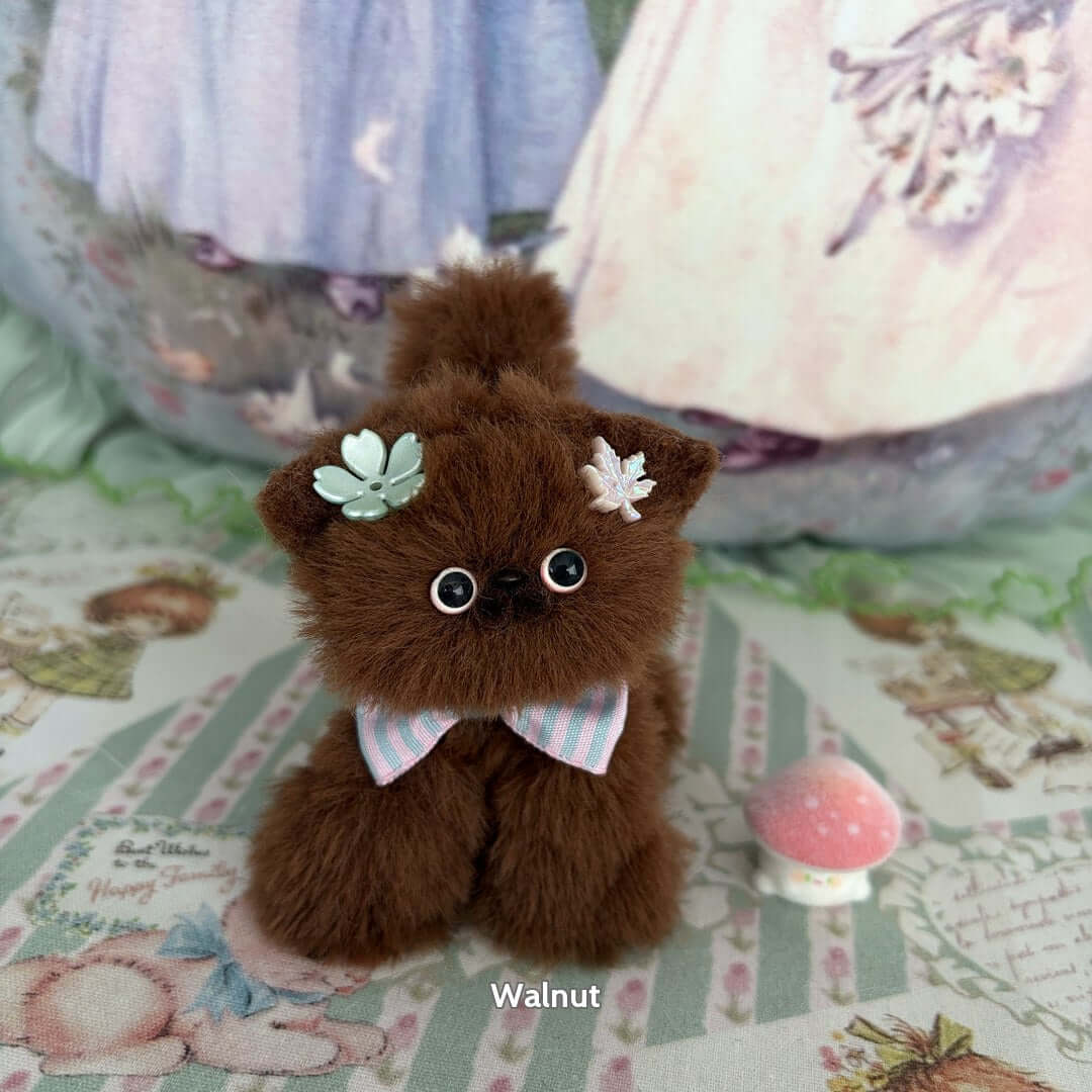 Brown Kitten Collection