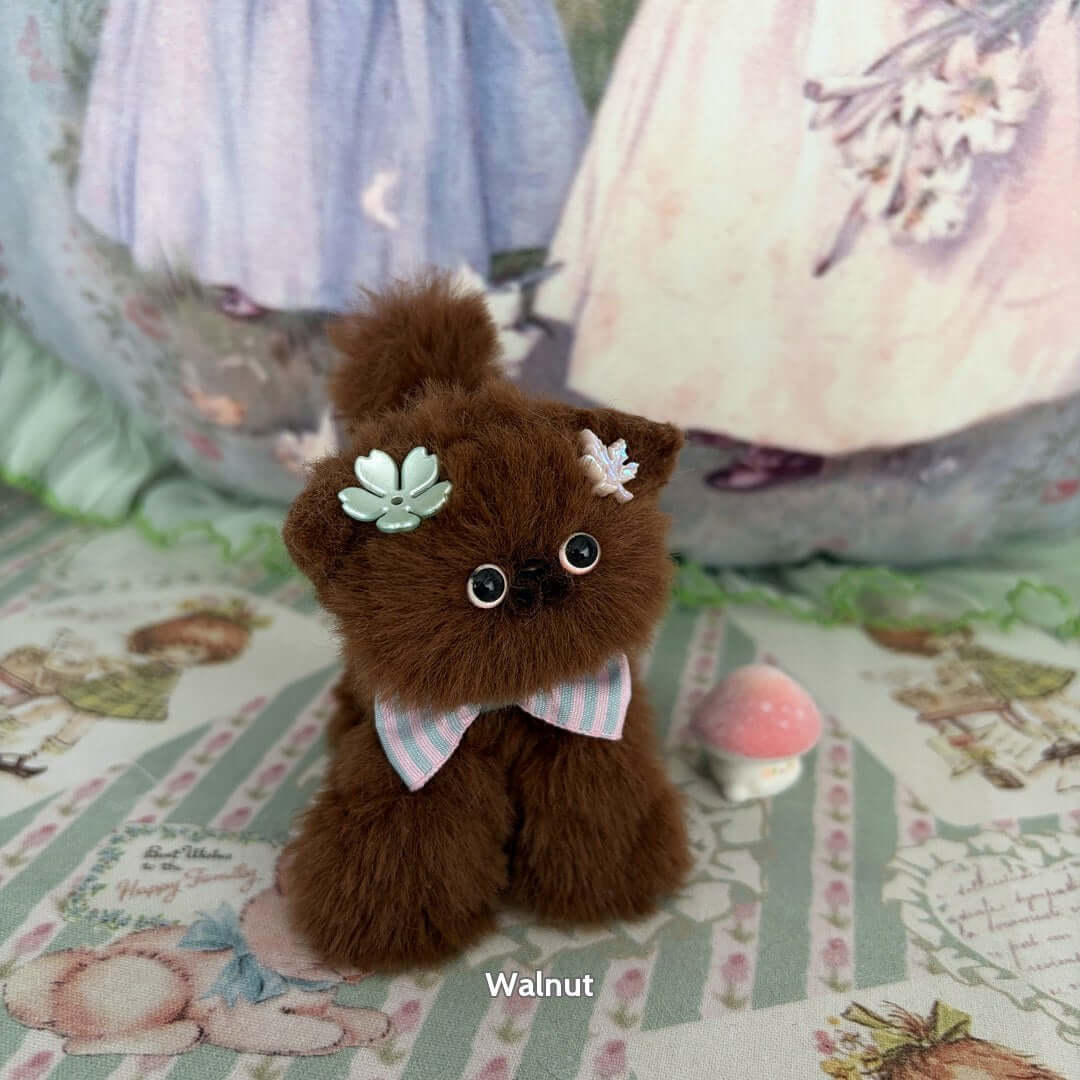 Brown Kitten Collection