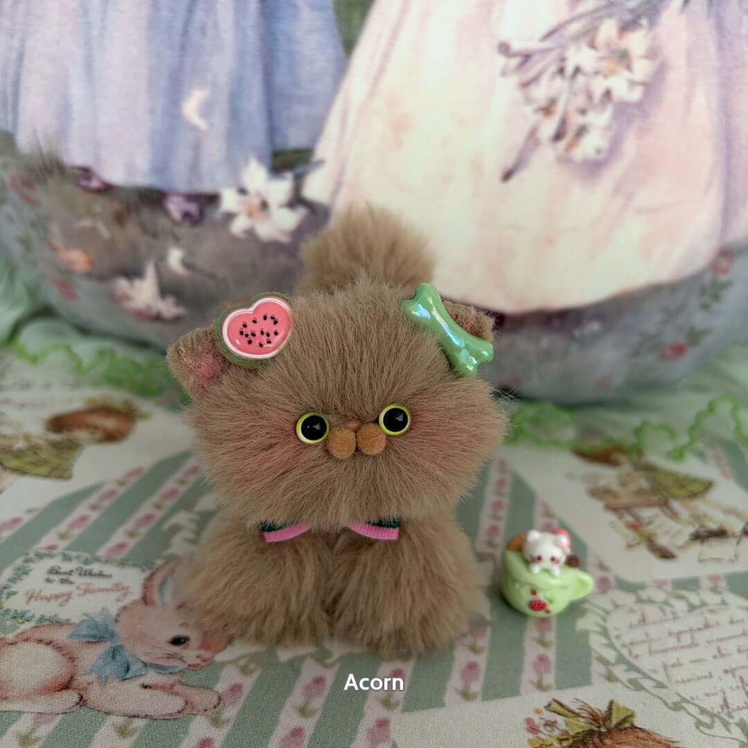 Brown Kitten Collection