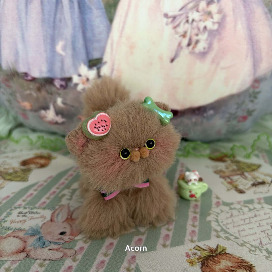 Brown Kitten Collection
