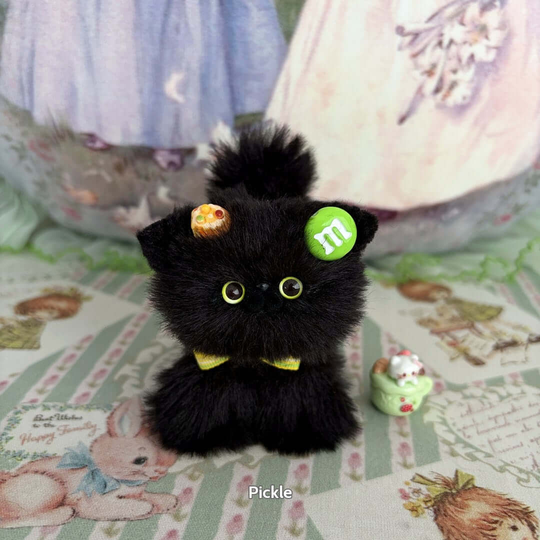 Black Kitten Collection