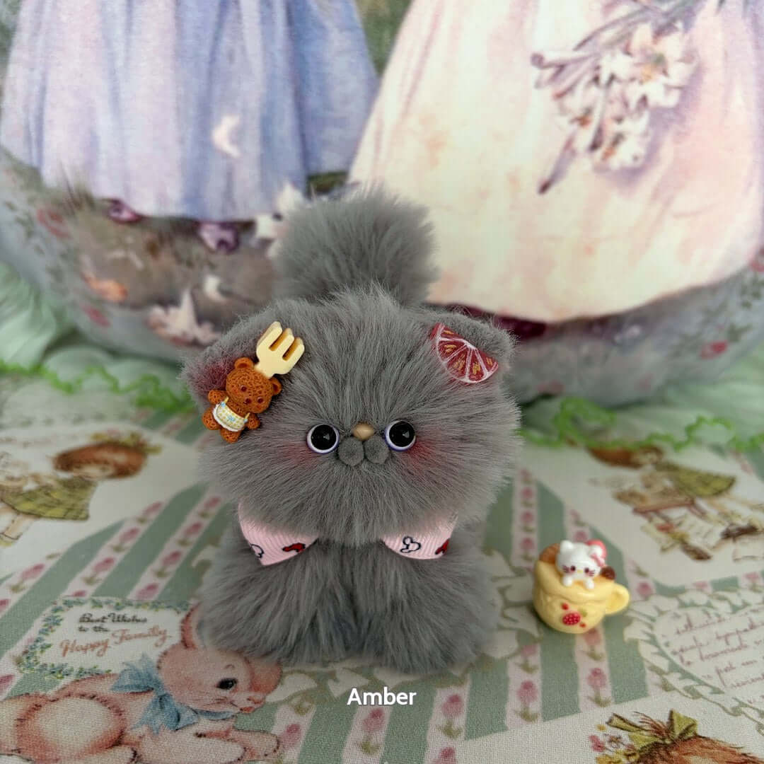 Grey Kitten Collection