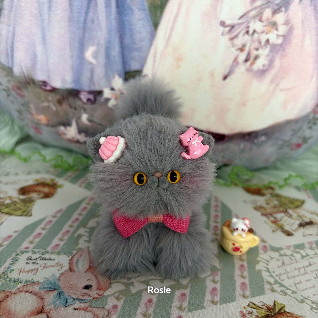 Grey Kitten Collection