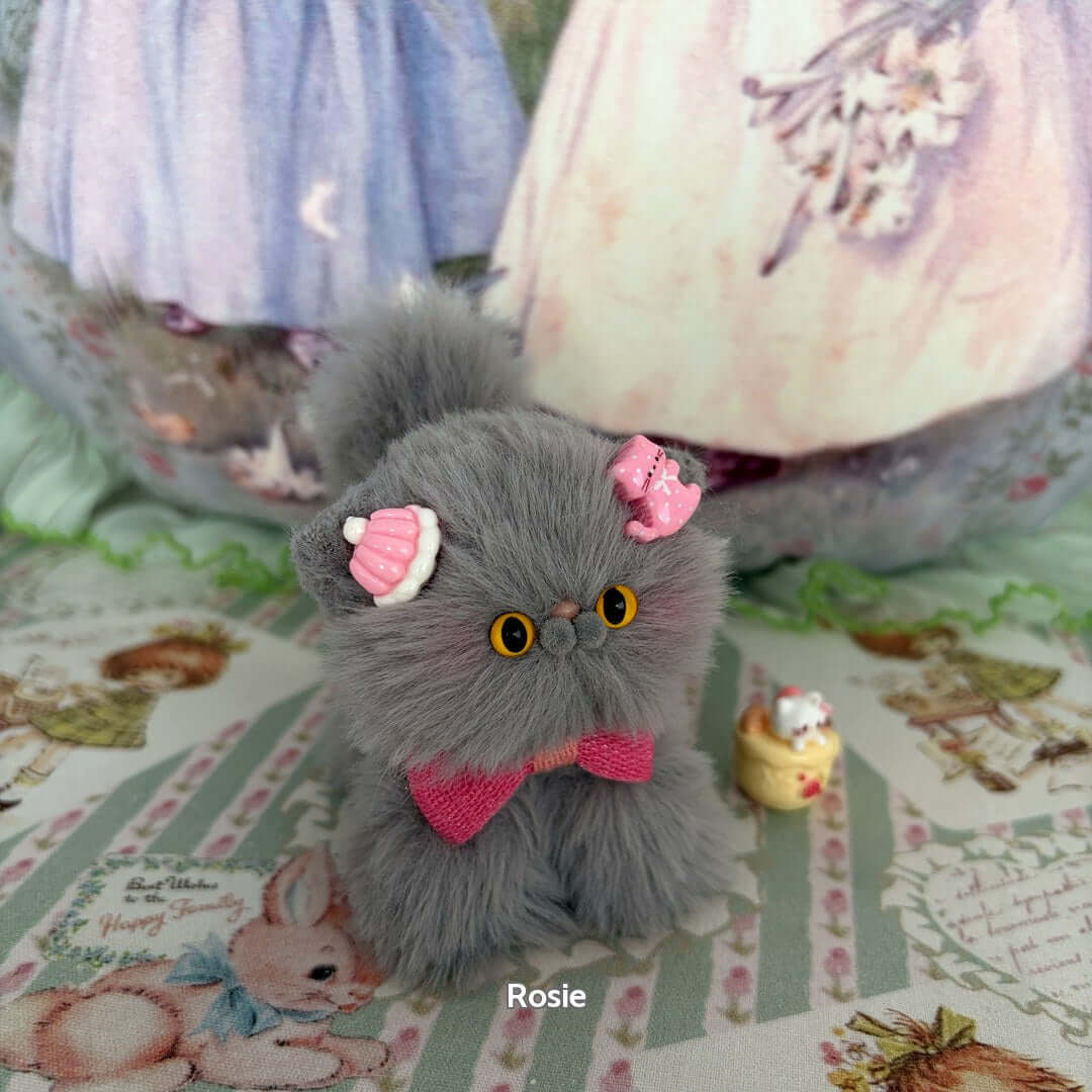 Grey Kitten Collection