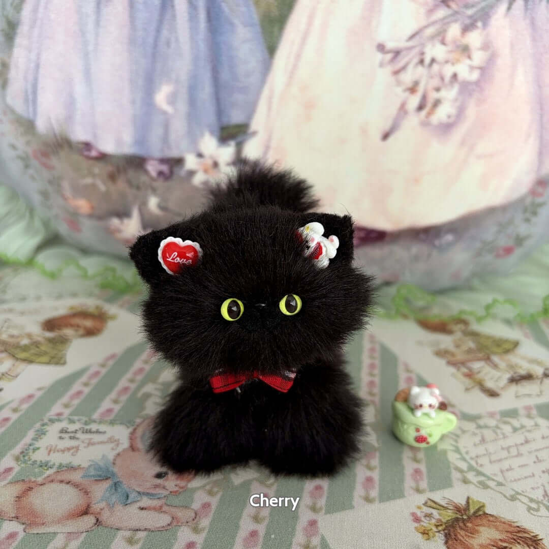 Black Kitten Collection