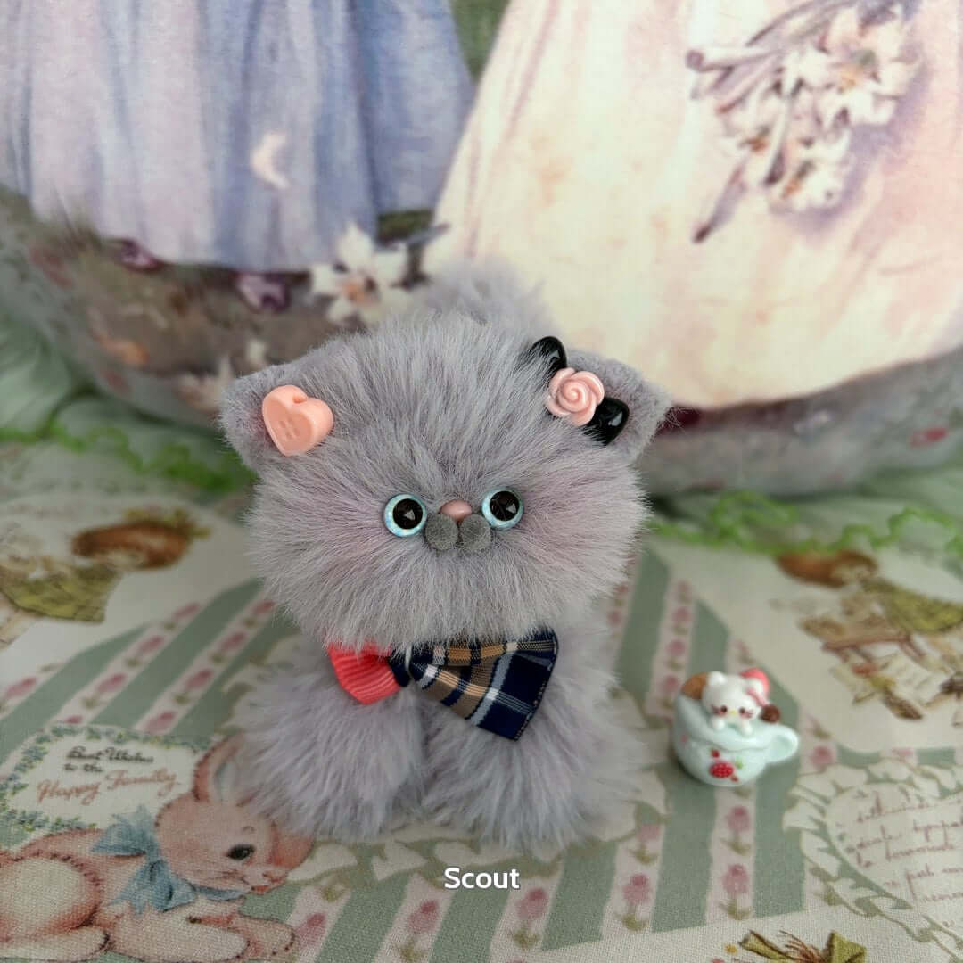 Grey Kitten Collection