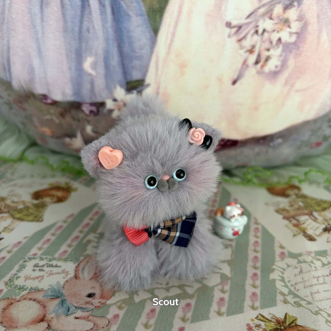 Grey Kitten Collection