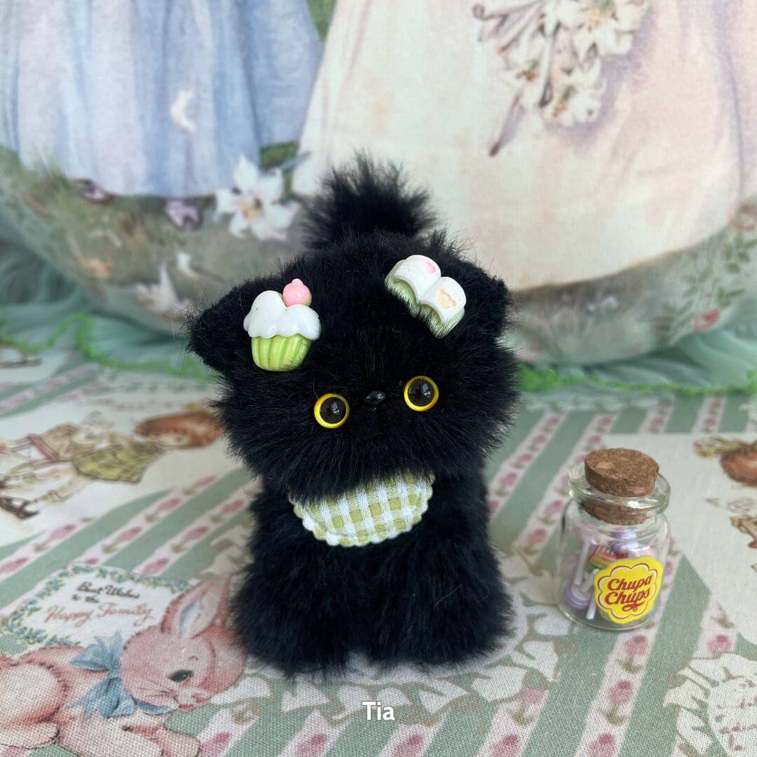 Black Kitten Collection