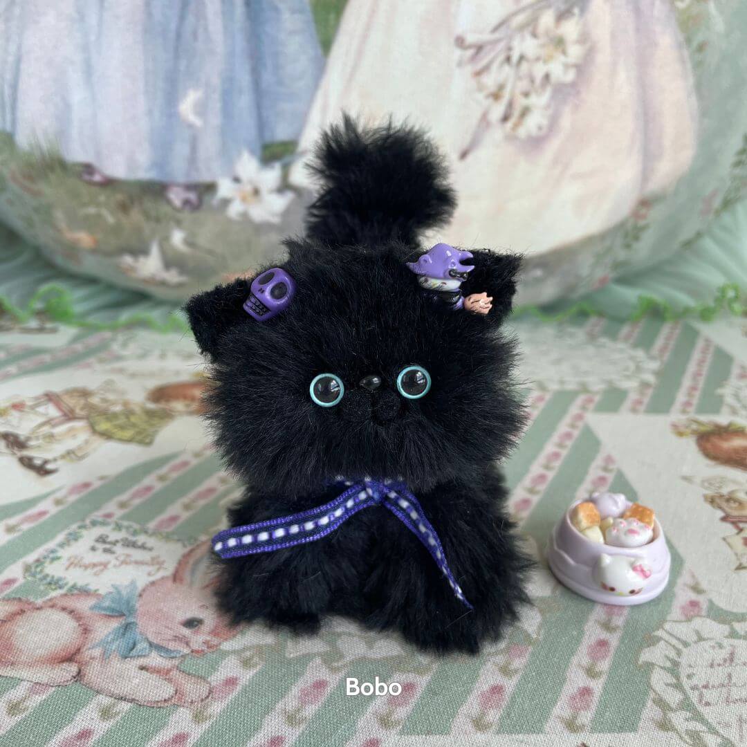 Black Kitten Collection