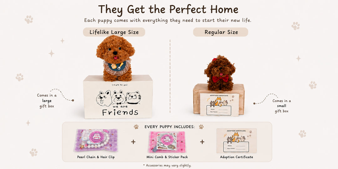 Adorable Kitten Collection gift packaging