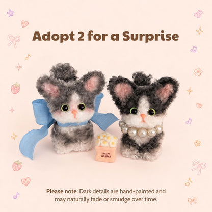 Devon Rex Kitties