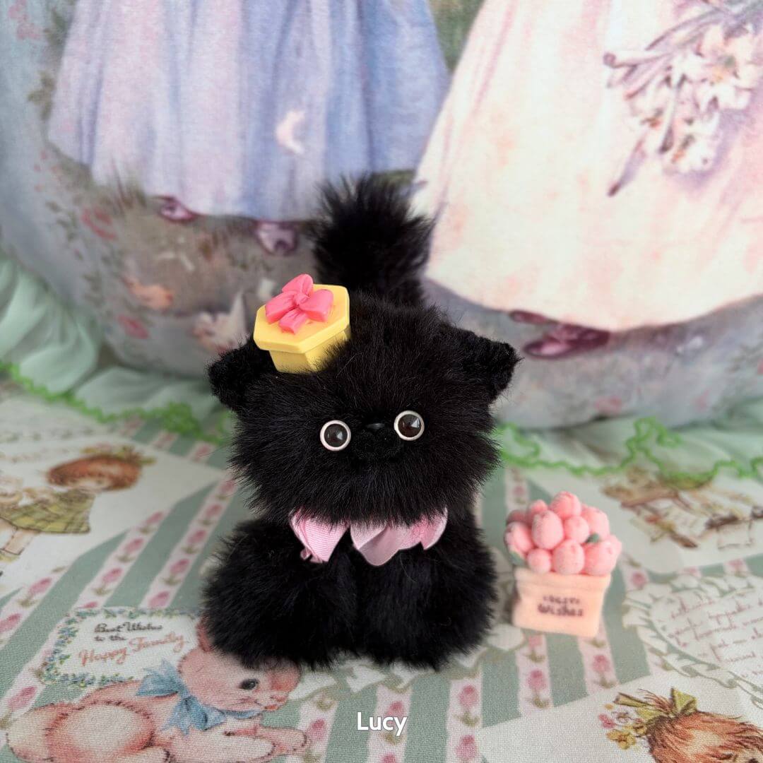 Black Kitten Collection