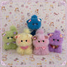 Fruity Kitten Collection