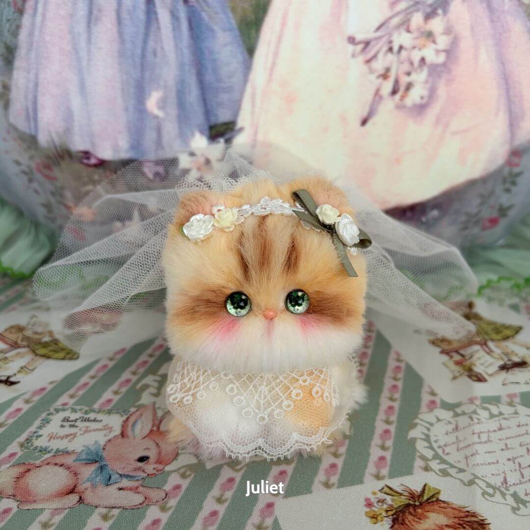 Cosplay Kitten Collection: Handmade kitten in a lace dress and veil, featuring fluffy orange fur and expressive green eyes.