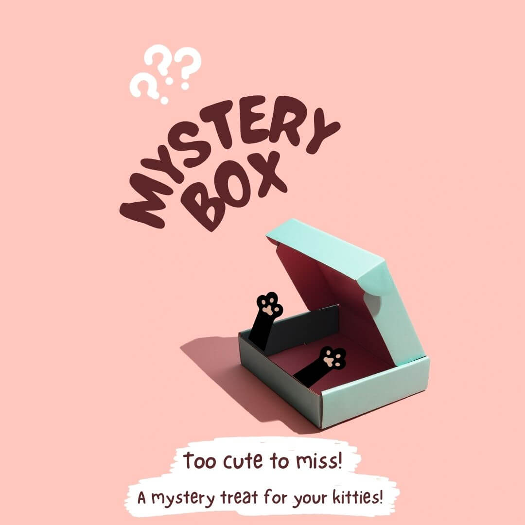 Random Accessories mystery box with cute cat-themed hair clips in pastel colors, perfect gift for handmade kitten lovers.
