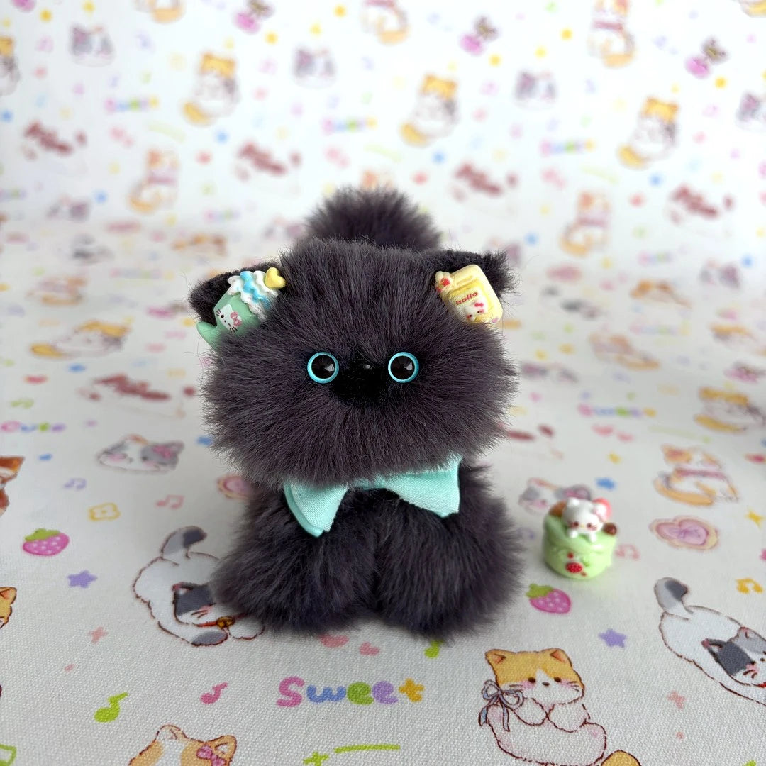Cocoa