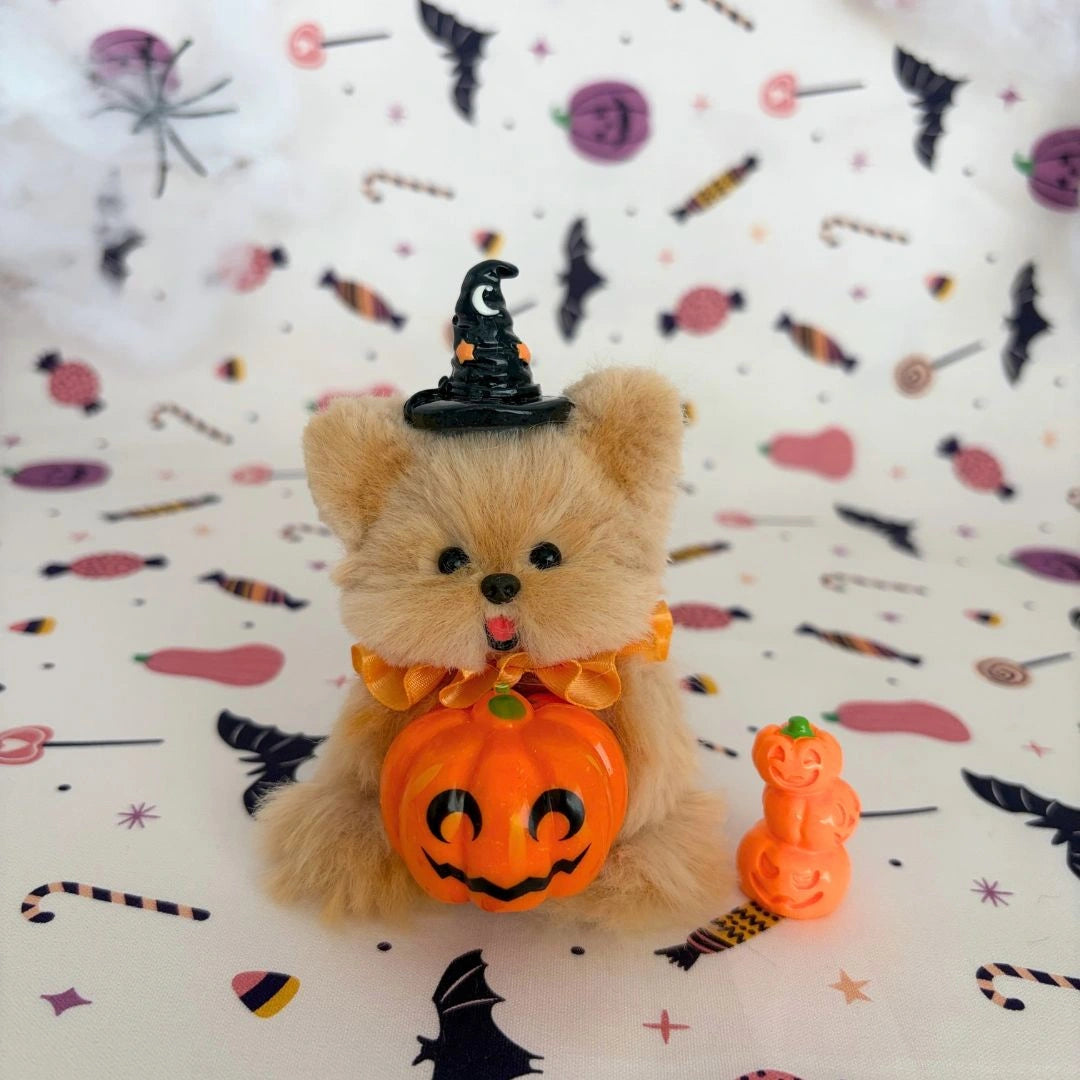 Maple-brown fluffy friend holding a pumpkin beneath a crescent-moon witch hat.