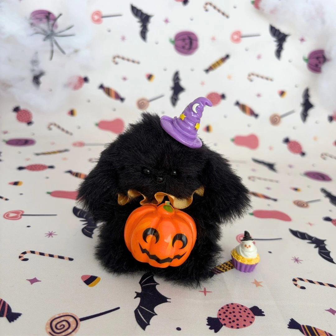 Black fluffy friend wearing a purple witch hat and holding an orange pumpkin.